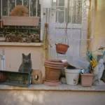 5 Best Organizers under ₹500 for Small Homes in India (2025)