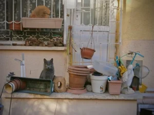 Read more about the article 5 Best Organizers under ₹500 for Small Homes in India (2025)