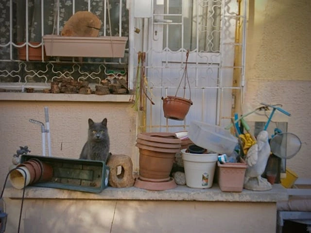 You are currently viewing 5 Best Organizers under ₹500 for Small Homes in India (2025)